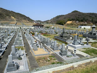 墓地